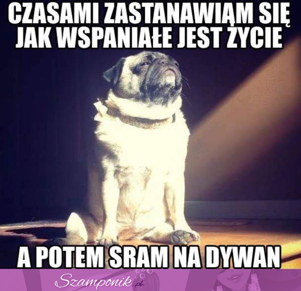 Wspaniałe życie