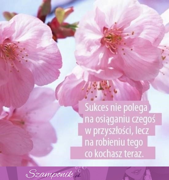 Sukces