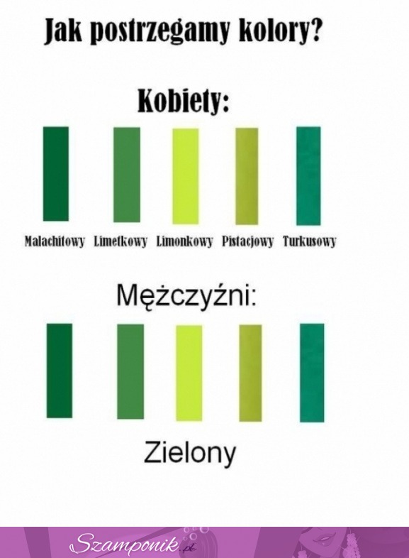 Jak postrzegamy kolory na przykładzie mężczyzn i kobiet, haha