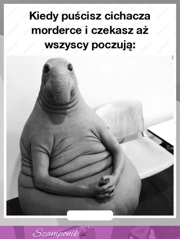 Ty już czujesz...