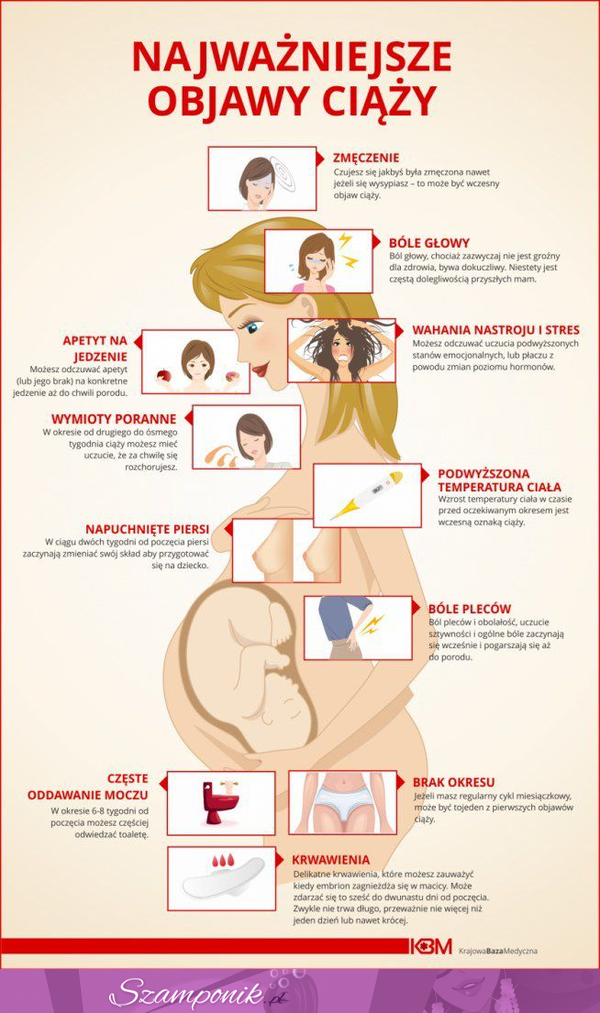 Zobacz najważniejsze objawy ciąży!  ;)