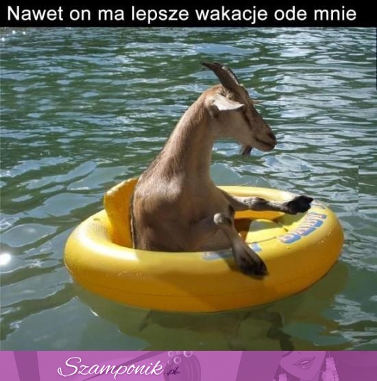 Udane wakacje ;D haha