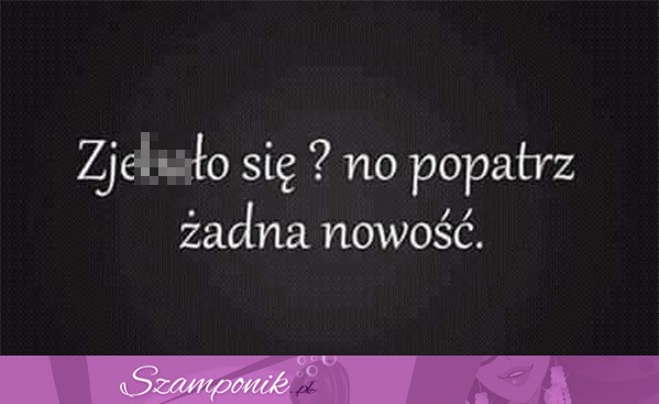 Żadna nowość