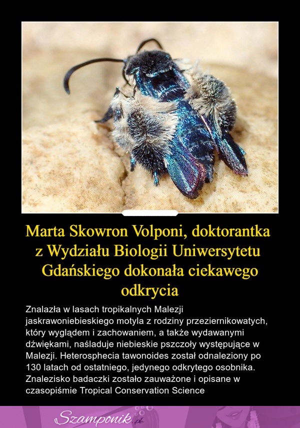 Doktorantka Uniwerstetu Gdańskiego dokonała ciekawego odkrycia!