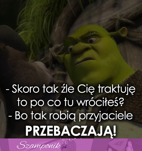 Tak robią przyjaciele!