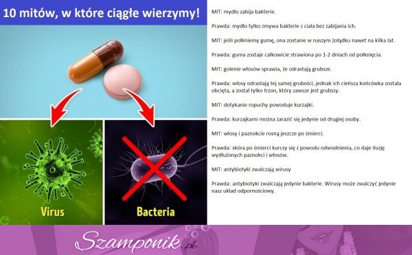 10 mitów, w które ciągle wierzymy