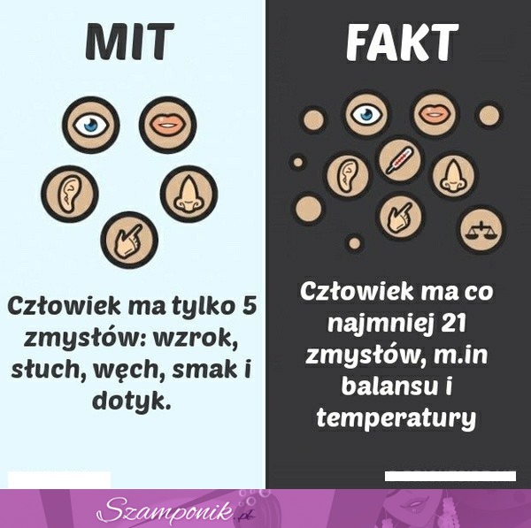 Ile tak naprawdę  ZMYSŁÓW ma człowiek? MIT/FAKT