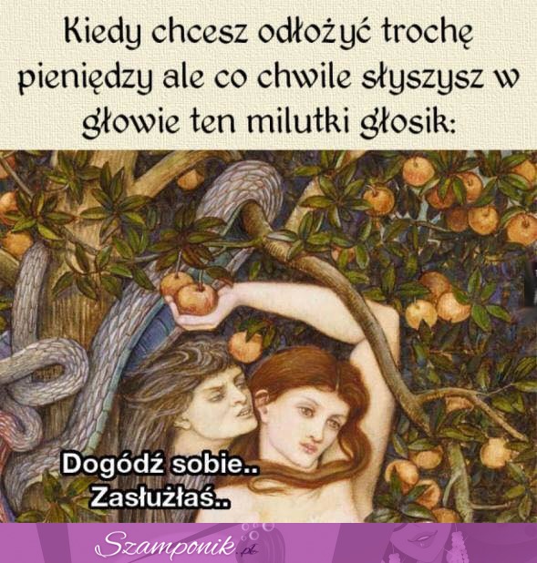 Zasłużyłaś