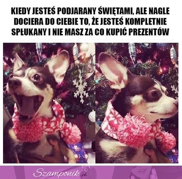 Życie tak szybko sie zmienia