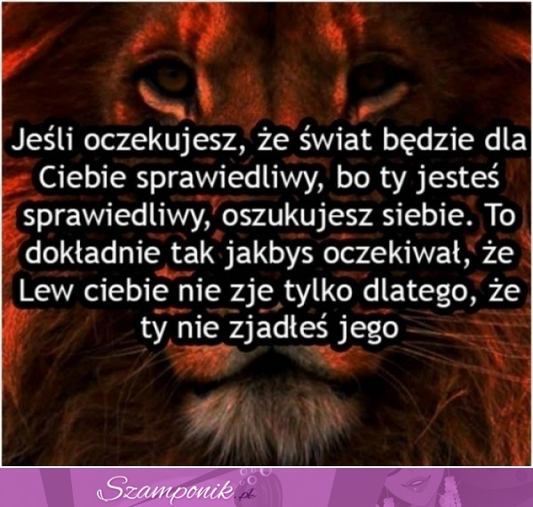 Jeśli oczekujesz, że świat będzie....