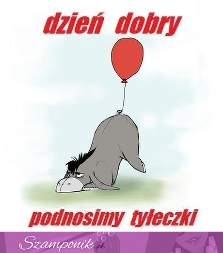 Podnosimy tyłeczki drogie kobietki ;D