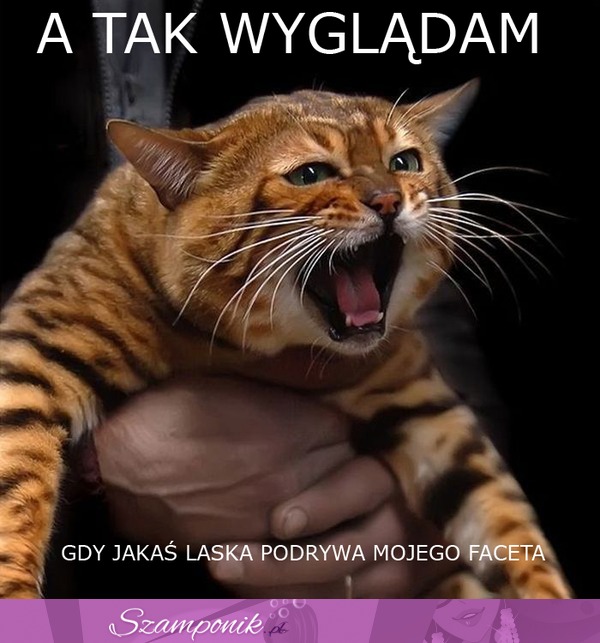 A tak wyglądam gdy...