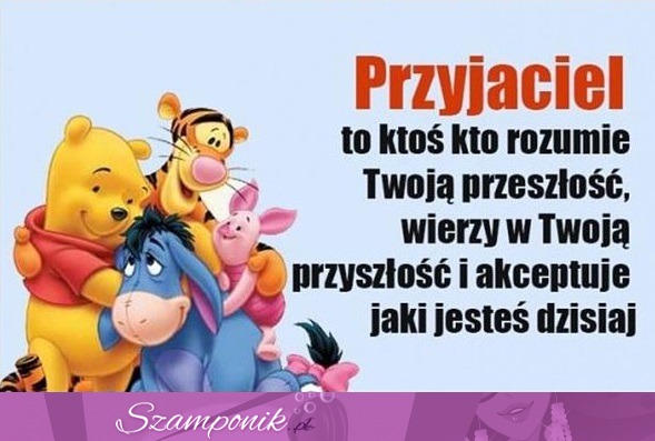 Przyjaciel...