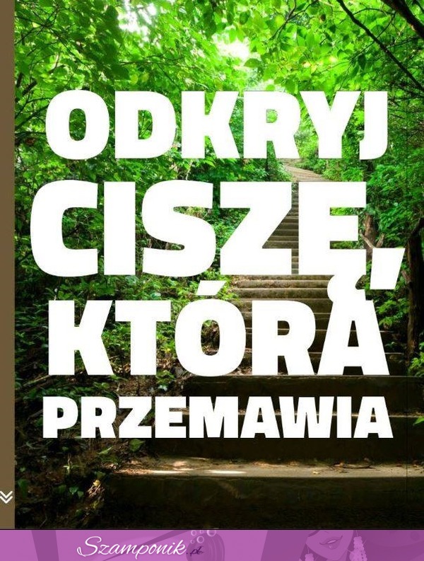 Odkryj ciszę