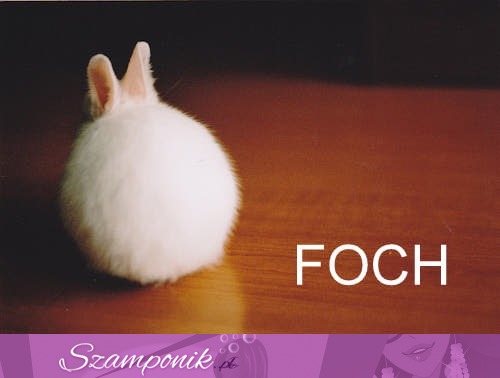 Foch :P