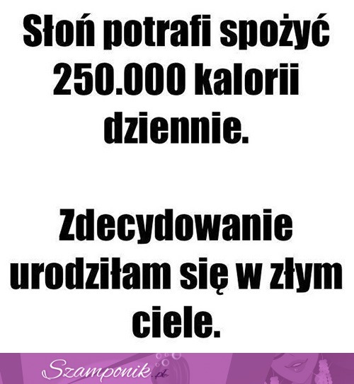 Jestem słoniem ;)