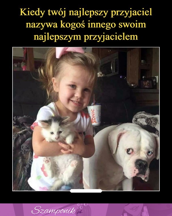 Nowy przyjaciel ;(