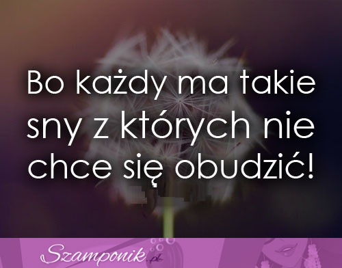 Bo każdy ma takie sny ;)