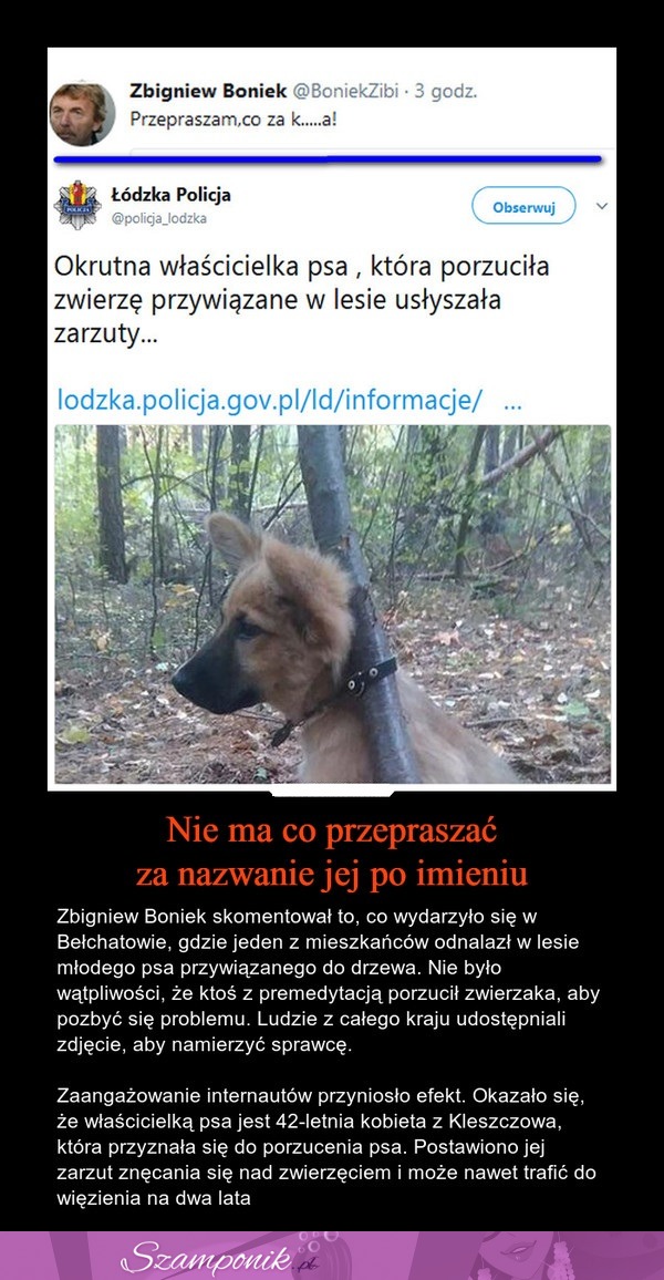 Właścicielka psa porzuciła zwierzę przywiązane w lesie