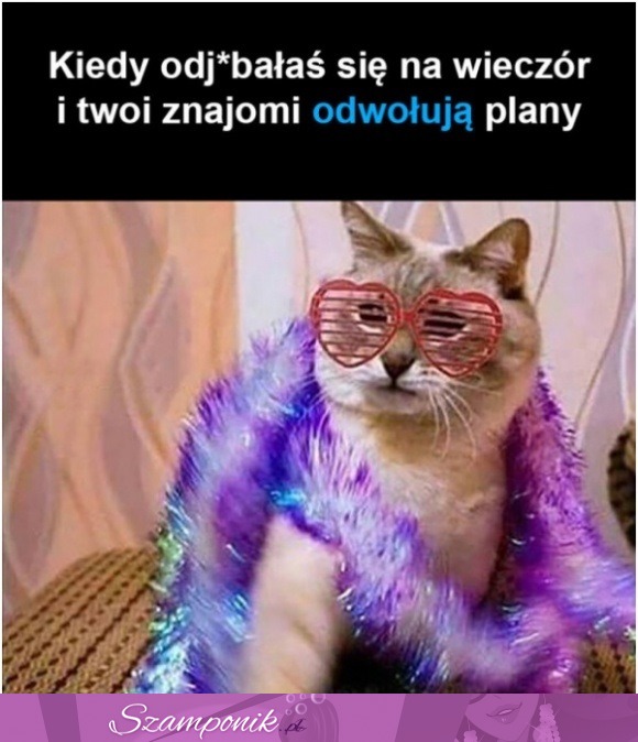 Ale jak to...