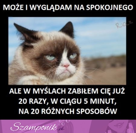 Może i wyglądam na spokojnego