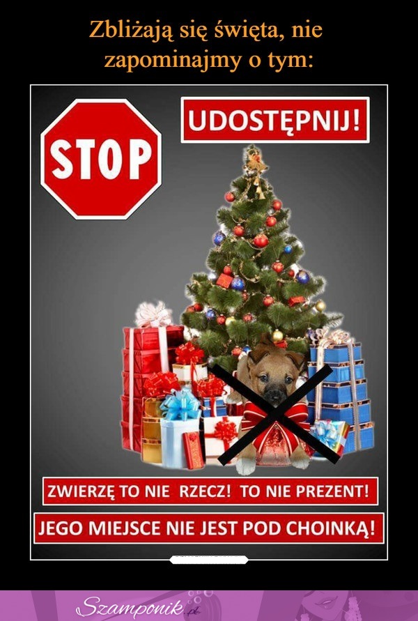 Proszę o udostępnianie! Zwierzęta to nie prezent!