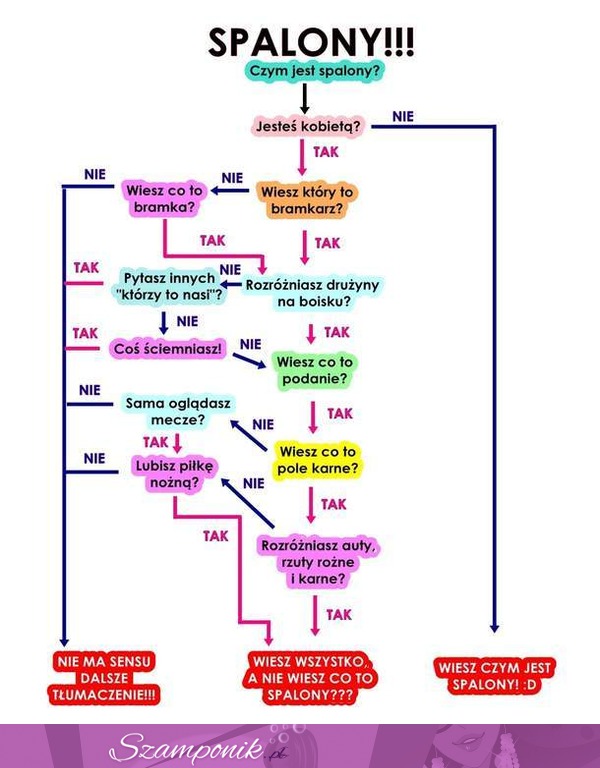 Jak wytłumaczyc kobiecie co to jest spalony? :D Która kobieta to rozumie? ;)