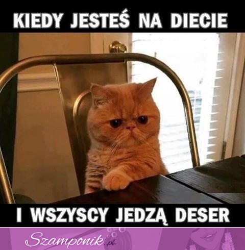 Kiedy jesteś na diecie