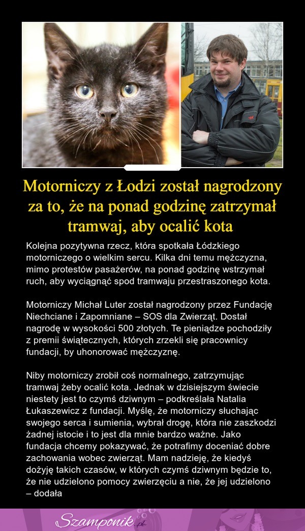 Motorniczy z Łodzi został nagrodzony za to, że na ponad godzinę zatrzymał tramwaj, aby ocalić kota!