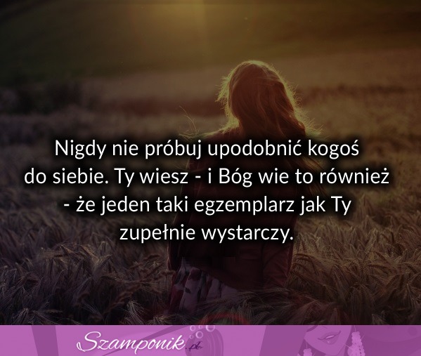 Nigdy nie próbuj upodobnić...