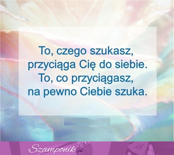 To, czego szukasz przyciąga Cię