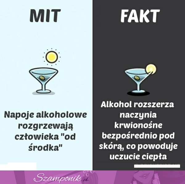 Taka prawda o napojach alkoholowych...