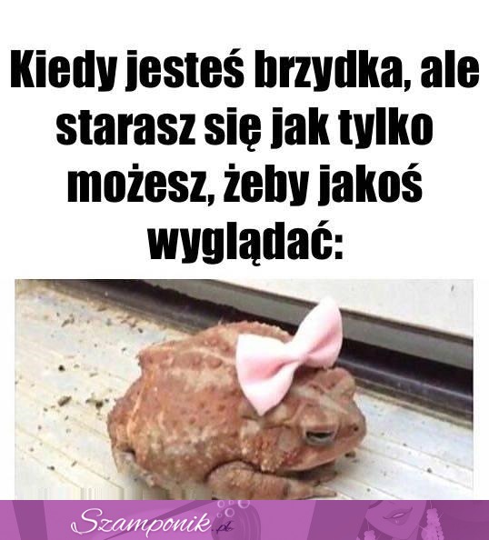 Robię co mogę haha ;P