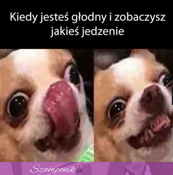 Kiedy jesteś głodny