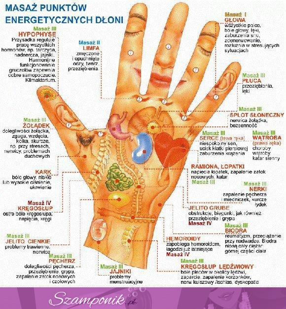 Zobacz, które miejsce na dłoni odpowiada poszczególnym organom! Pomocne do masażu