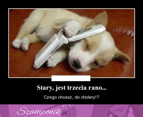 Stary!