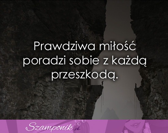 Poradzi sobie z każdą przeszkodą!