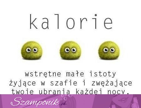 Definicja kalorii