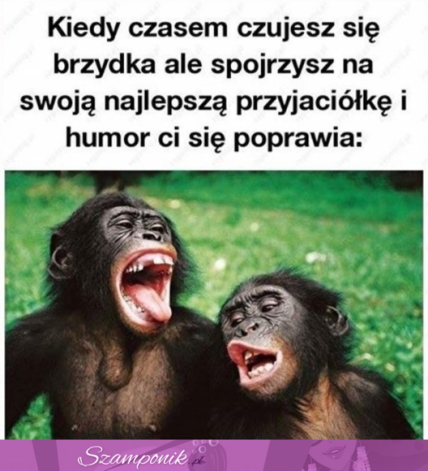 Dobrze, że jesteś ;P