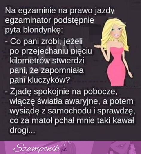 Na egzamin na PRAWO JAZDY egzaminator pyta BLONDYNKĘ! HAHA dobry KAWAŁ ;D