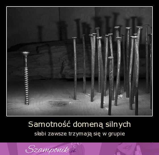 Samotność domeną silnych