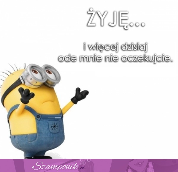 Żyję i więcej nie occzekujcie