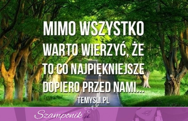 Warto wierzyć