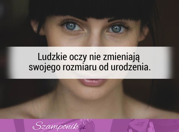 Ludzkie oczy