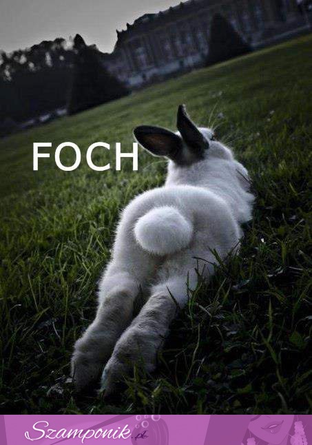 Foch