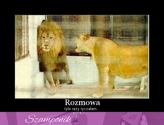 Rozmowa