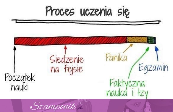 Proces uczenia się