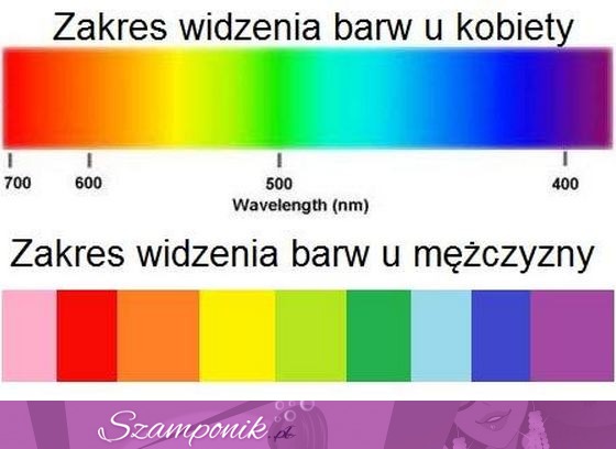 Jak widzą kolory kobiety, a jak mężczyżni, HAHA dobre!