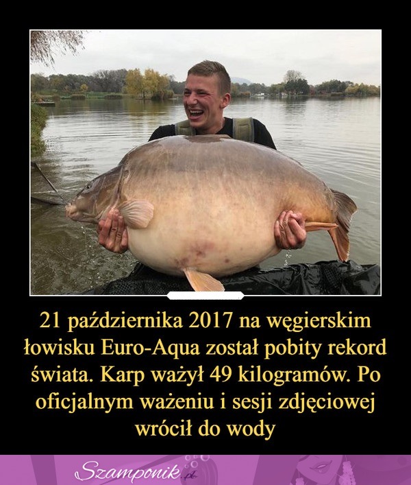 Został pobity rekord świata! Karp ważył 49 kilogramów!