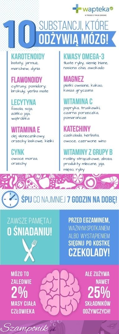 DIETA dla mózgu. Co jeść, by WSPOMÓC szare komórki?